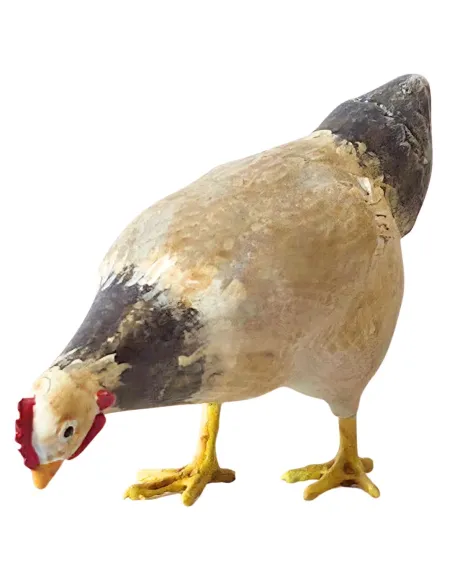 3D-Printed Hen for 28–30 cm Nativity Figures