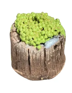 Tinozza in terracotta con uva bianca per statue da 20 cm 2