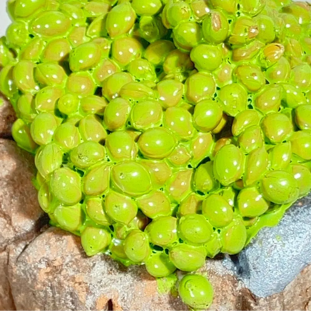 Wooden Tub with White Grapes for 20 cm Nativity Figures