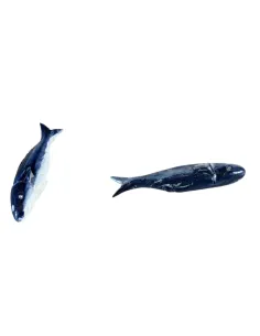 Set 2 pesci blu in resina per statue da 20-30 cm