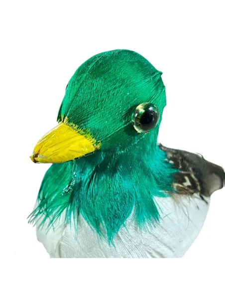 Anatra con piume vere per statue da 25-30 cm