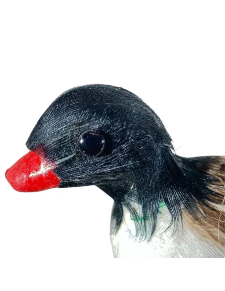 Anatra bianca e nera con piume vere per statue da 20-30 cm