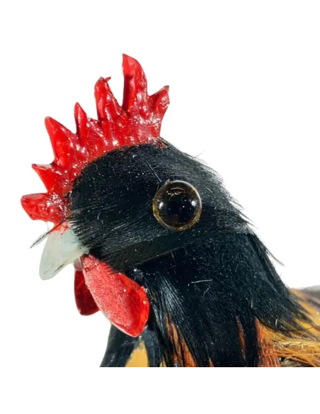 Gallo con piume vere scure per statue da 25-30 cm