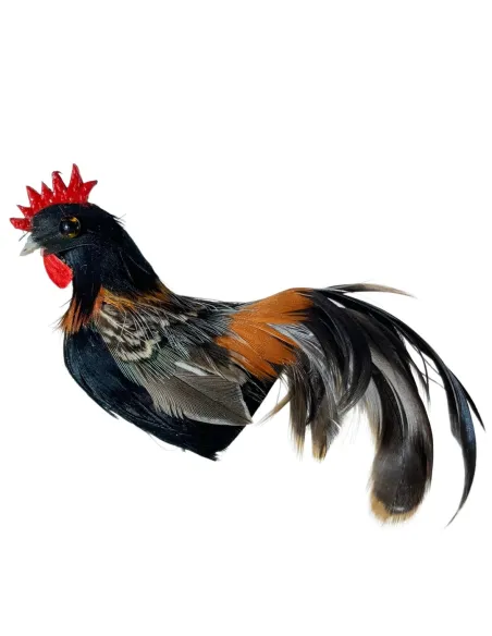 Gallo con piume vere scure per statue da 25-30 cm