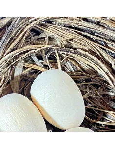 Nido con 3 uova per statue da 20-25 cm 2