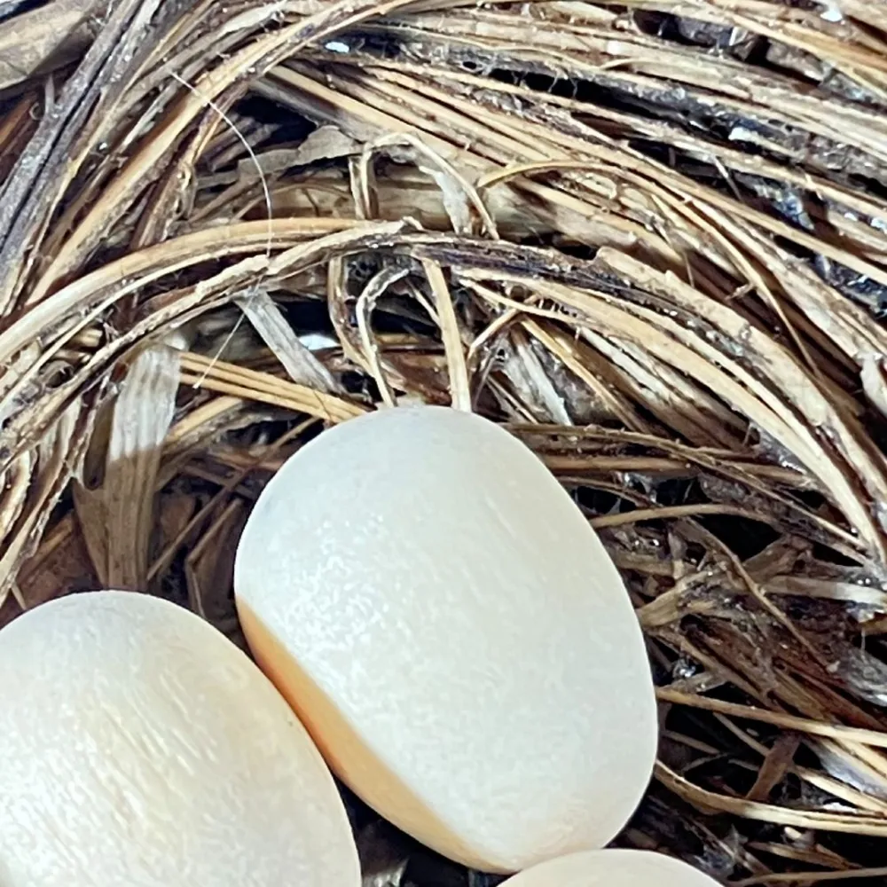 Nest with Three Eggs for 20–25 cm Nativity Figures