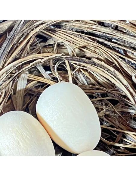 Nido con 3 uova per statue da 20-25 cm