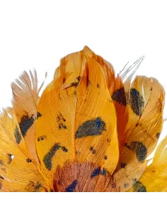 Tacchino con piume vere per statue da 25-30 cm 2