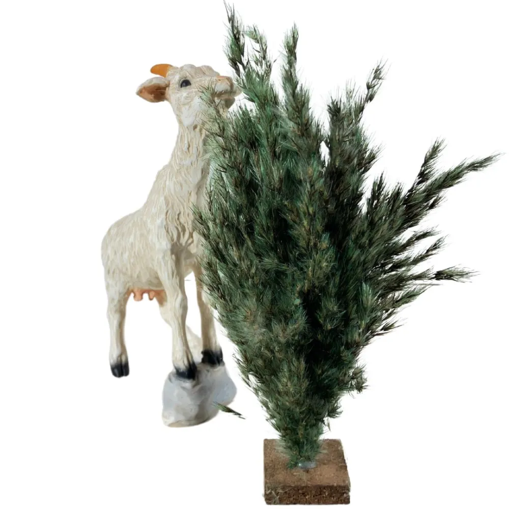 Resin White Goat with Bush for 30 cm Nativity Figures