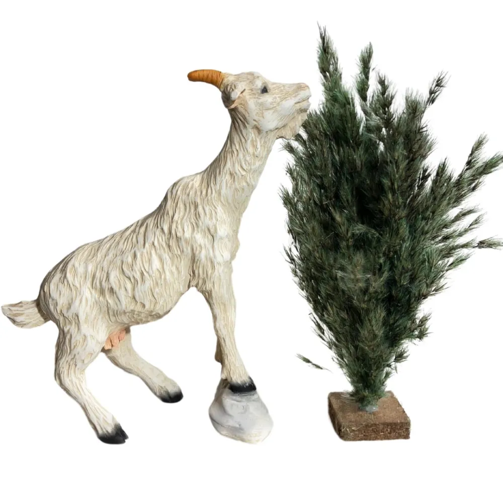 Resin White Goat with Bush for 30 cm Nativity Figures