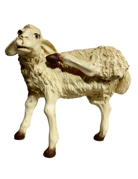 Pecora in resina che si gratta l'orecchio per statue da 25-30 cm
