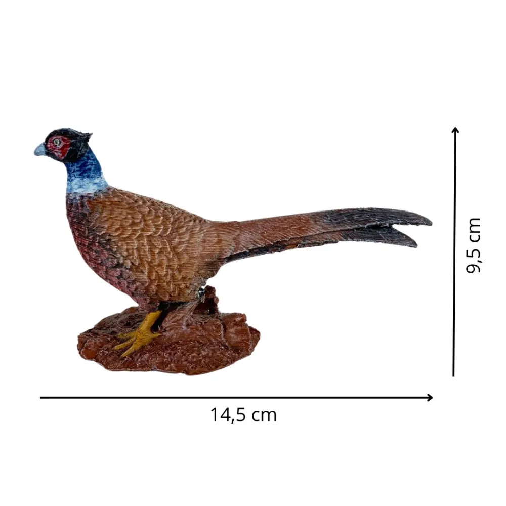 Fagiano comune per statue da 28-30 cm