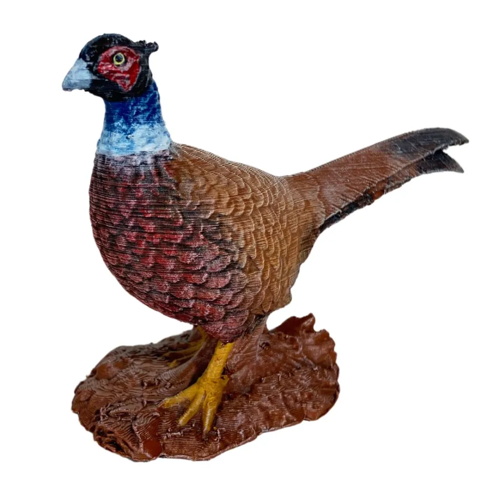 Fagiano comune per statue da 28-30 cm