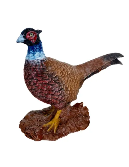 Fagiano comune per statue da 20-25 cm