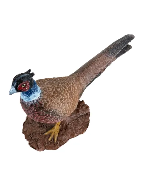 Fagiano comune per statue da 20-25 cm