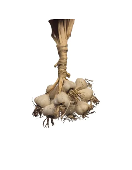 Mazzetto di aglio in cera per statue da 10-15 cm