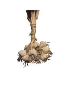 Mazzetto di aglio in cera per statue da 25-30 cm
