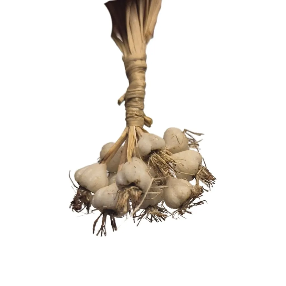 Wax Bunch of Garlic for 25–30 cm Nativity Figures