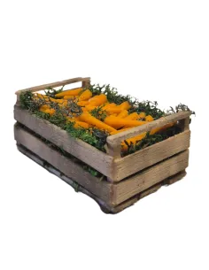 Cassetta carote in cera per statue da 15-20 cm