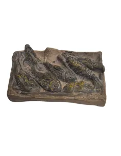 Cassetta con pesce in gesso per statue da 30 cm