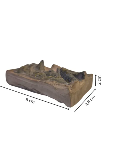 Cassetta con pesce in gesso per statue da 30 cm