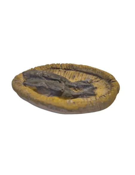 Cesto con pesce in gesso per statue da 30 cm