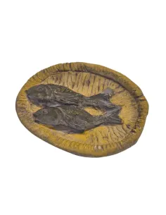 Cesto con pesce in gesso per statue da 30 cm