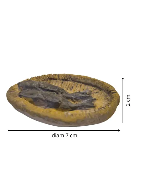 Cesto con pesce in gesso per statue da 30 cm