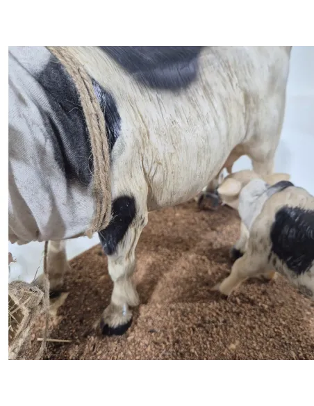 Mucca pezzata con vitello in movimento per statue da 30 cm