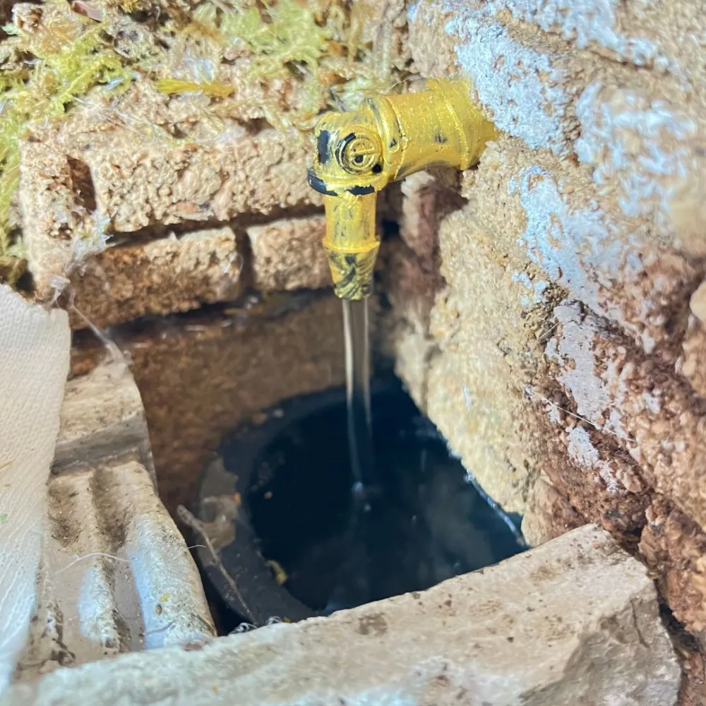 Animated 10 cm Landi Washerwoman with Working Fountain