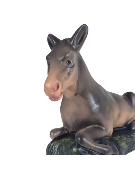 Asino in gesso serie 20 cm