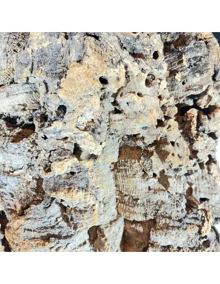 Cork Bark – 5 kg