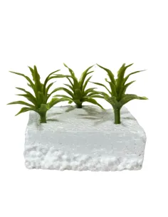 Set of 3 agave plants for 6–12 cm Nativity figures 2