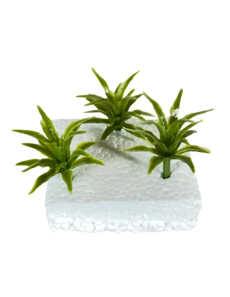 Set of 3 agave plants for 6–12 cm Nativity figures