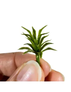 Set of 3 agave plants for 6–12 cm Nativity figures