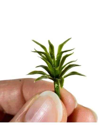 Set 3 agavi per statue da 6-12 cm