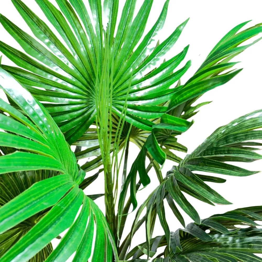 Wide-leaf PVC palm