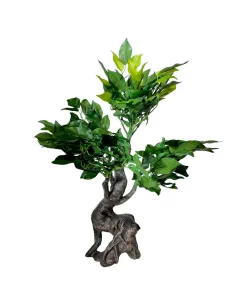 Albero di quercia per statue da 25-30 cm