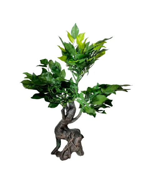 Albero di quercia per statue da 25-30 cm