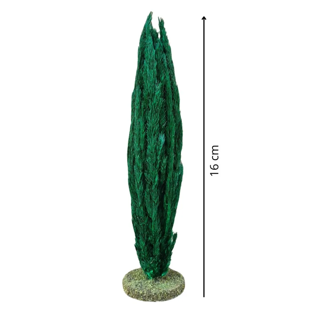 Cypress tree without trunk for 3.5–5 cm Nativity figures