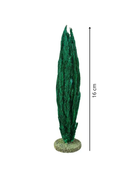 Cypress tree without trunk for 3.5–5 cm Nativity figures
