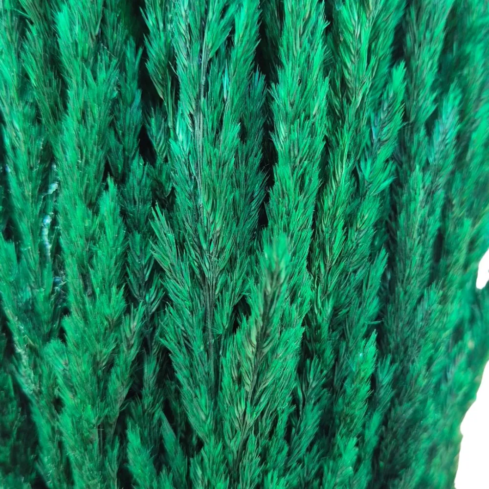 Cypress tree with trunk for 15–20 cm Nativity figures