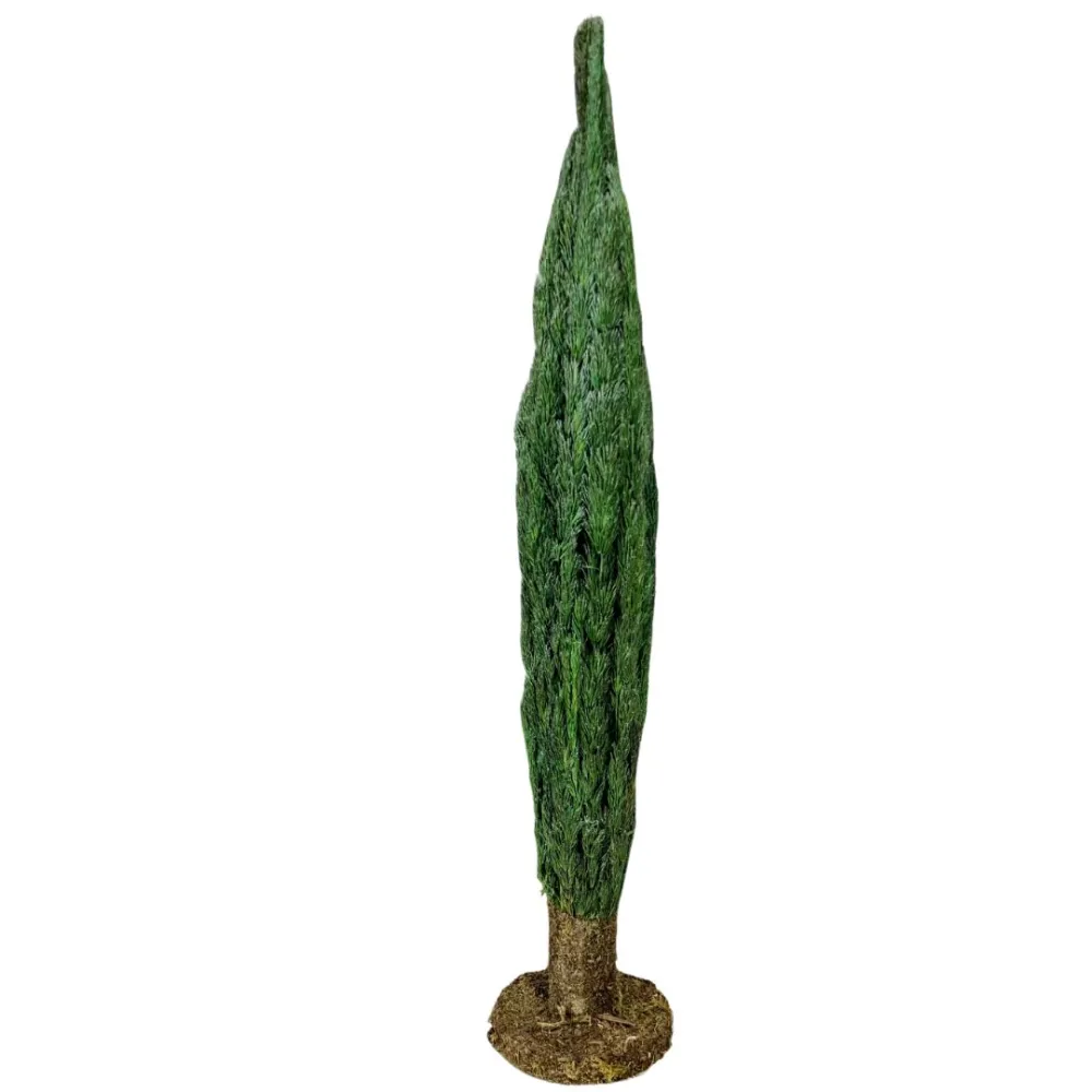 Cypress tree with trunk for 8–10 cm Nativity figures