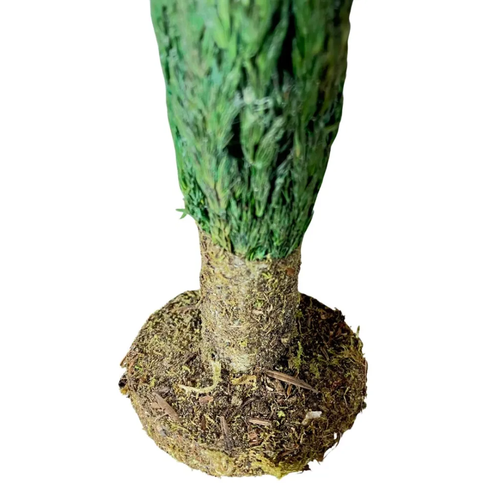 Cypress tree with trunk for 8–10 cm Nativity figures