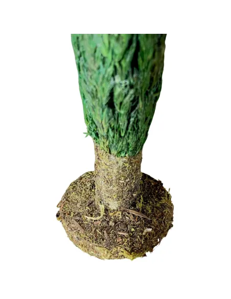 Cypress tree with trunk for 8–10 cm Nativity figures