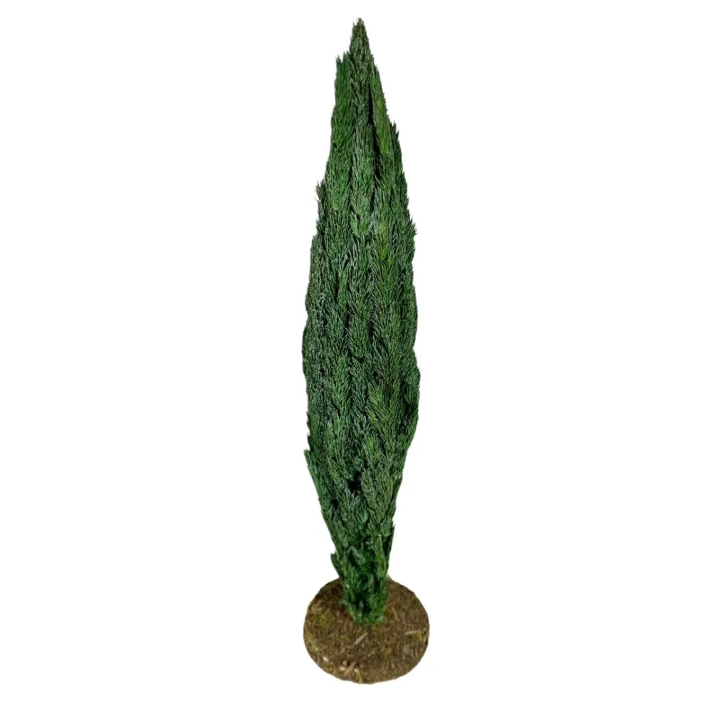 Cypress tree without trunk for 8–10 cm Nativity figures