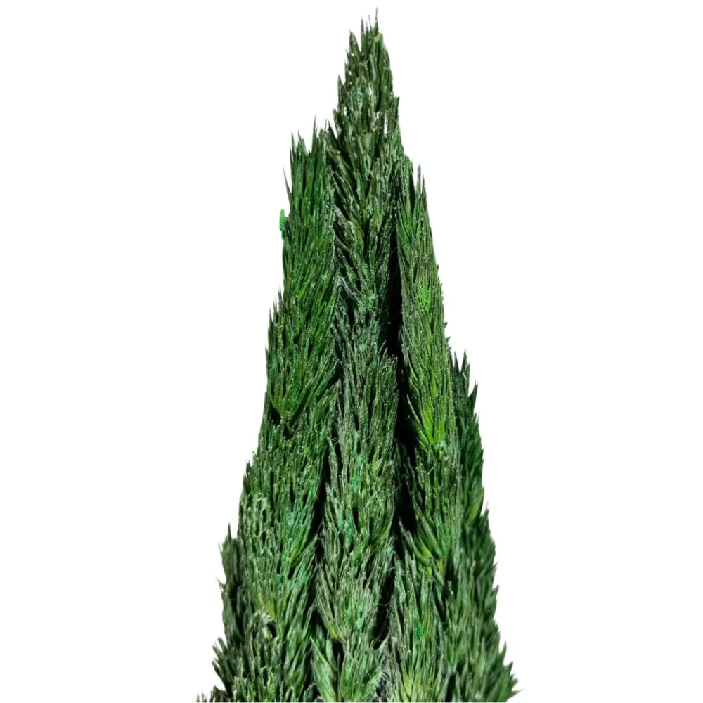 Cypress tree without trunk for 8–10 cm Nativity figures