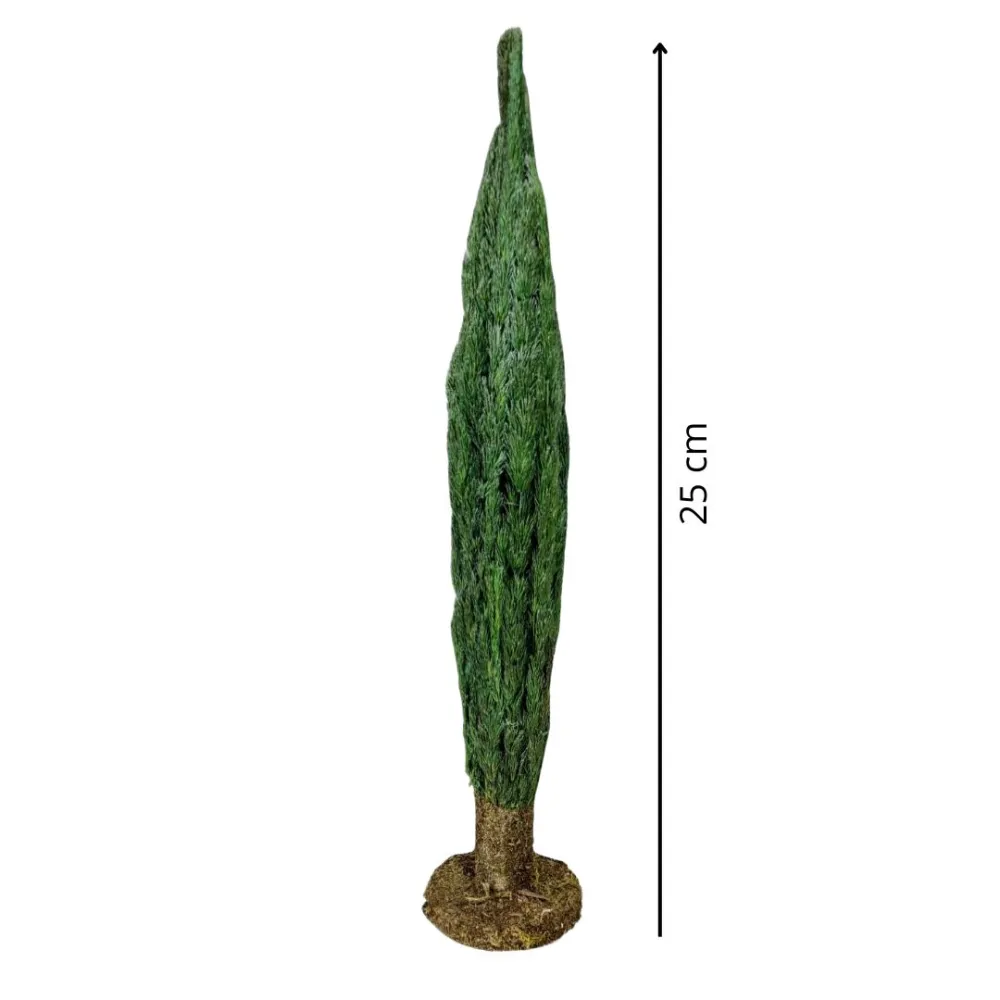 Cypress tree with trunk for 8–10 cm Nativity figures