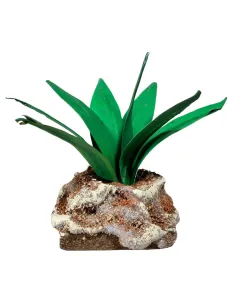 Agave verde chiaro per statue da 20-30 cm
