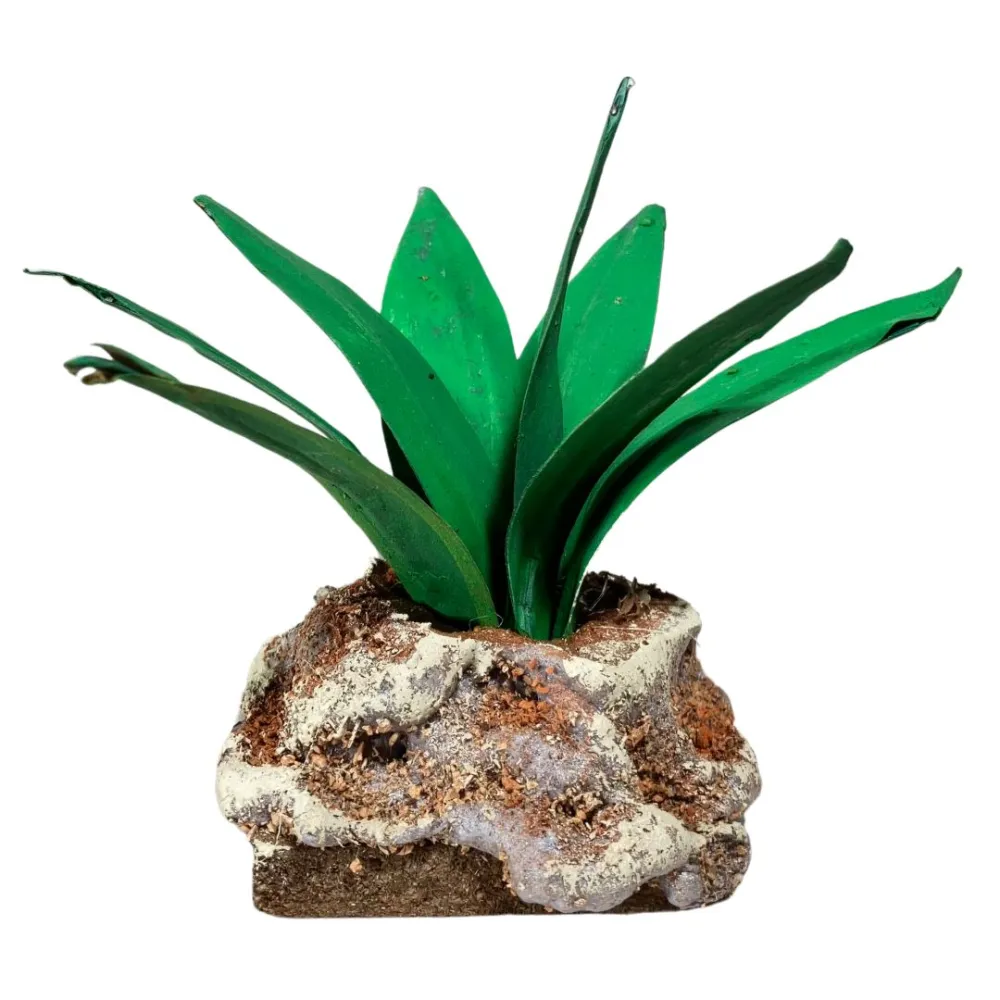 Light green agave for 20–30 cm Nativity figures